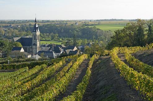 Viiniviljelmät Loire