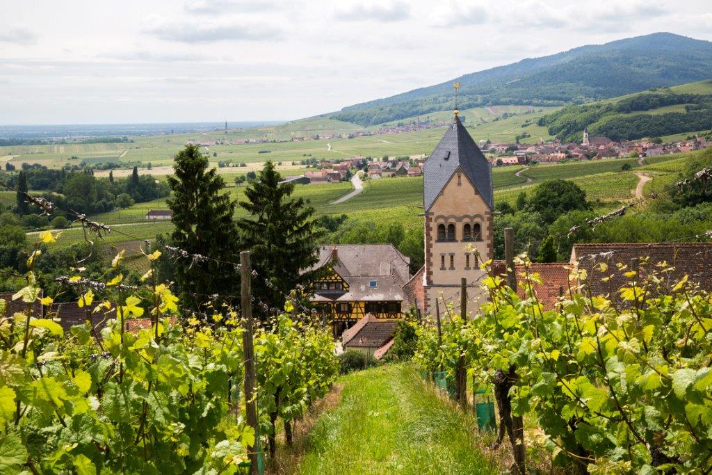 Alsace viinitila