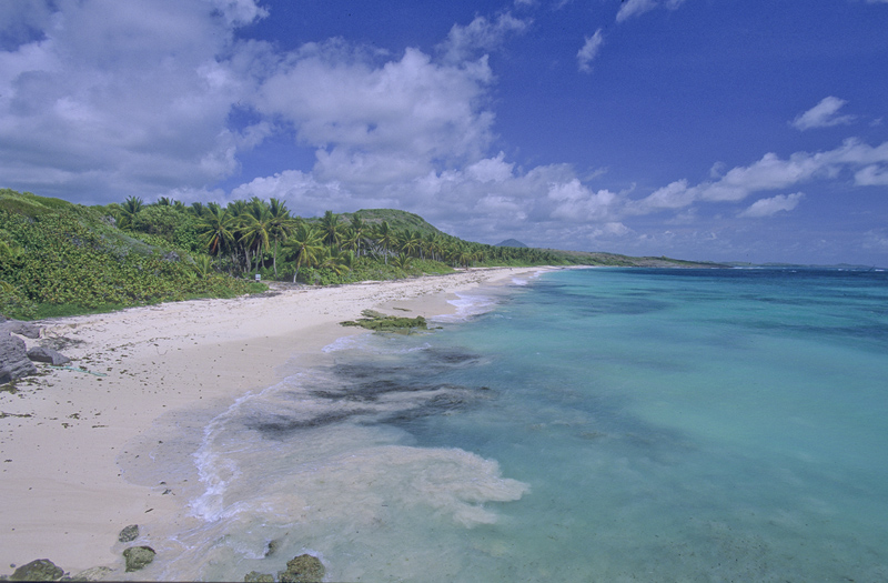 Anse Grosse roche ranta Martiniquelle
